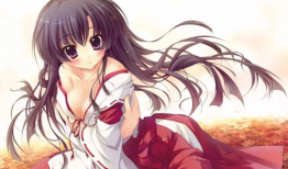 日系少女漫画,日系少女的青春物语